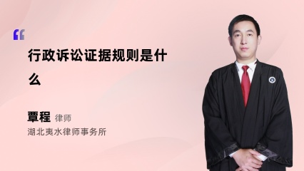 行政诉讼证据规则是什么