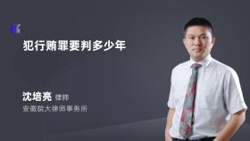 犯行贿罪要判多少年