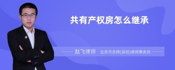 共有产权房怎么继承