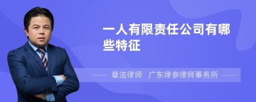 一人有限责任公司有哪些特征