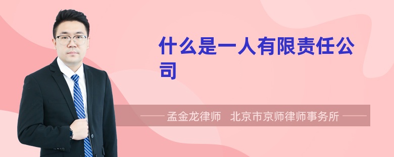 什么是一人有限责任公司