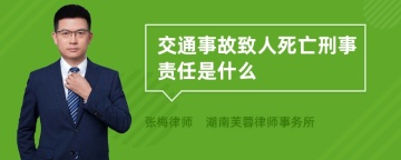 交通事故致人死亡刑事责任是什么