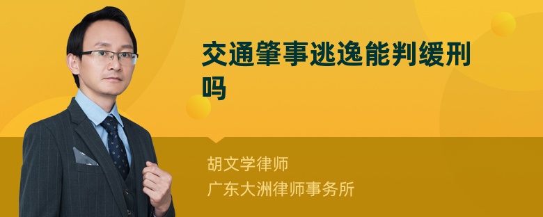 交通肇事逃逸能判缓刑吗