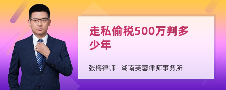 走私偷税500万判多少年