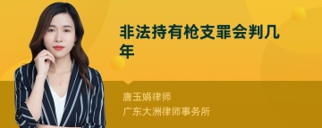 非法持有枪支罪会判几年