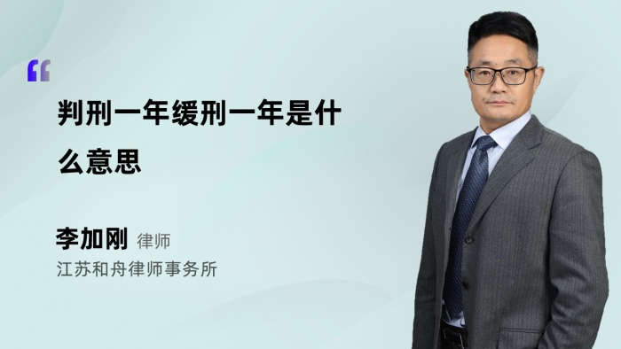 判刑一年缓刑一年是什么意思 李加刚律师视频普法 法师兄