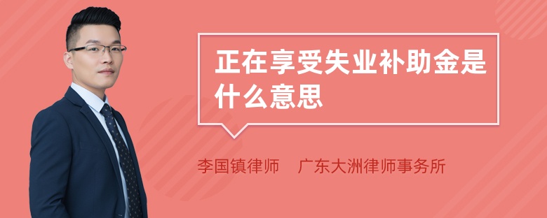 正在享受失业补助金是什么意思