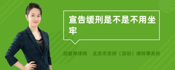 宣告缓刑是不是不用坐牢