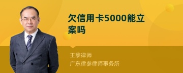 欠信用卡5000能立案吗