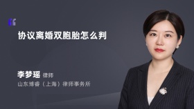 协议离婚双胞胎怎么判