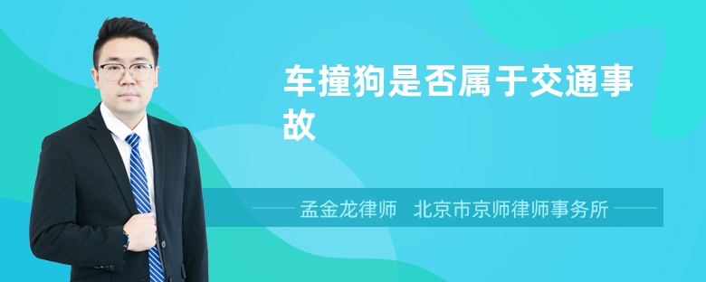 车撞狗是否属于交通事故