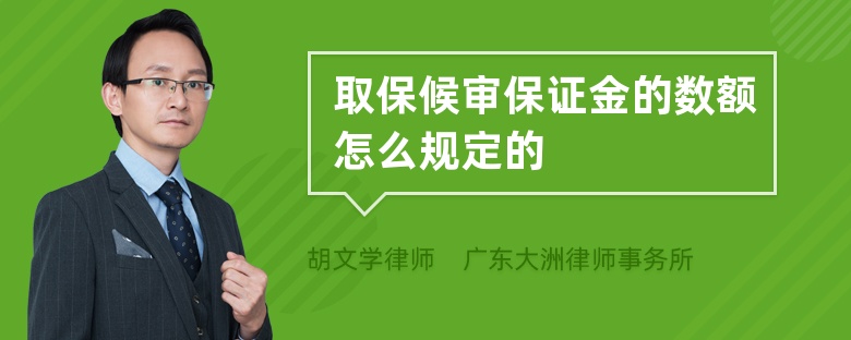 取保候审保证金的数额怎么规定的