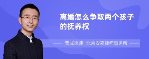 离婚怎么争取两个孩子的抚养权