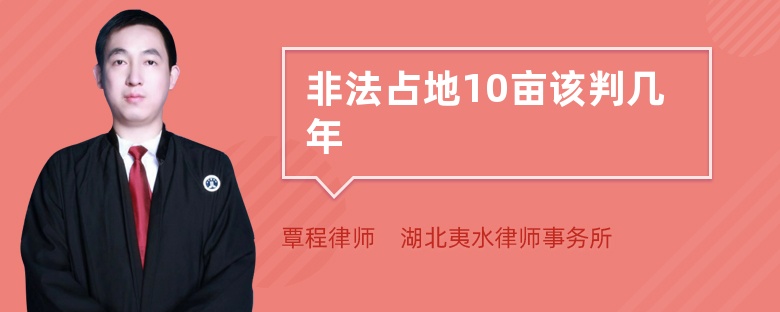 非法占地10亩该判几年