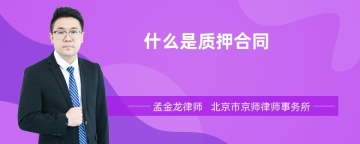 什么是质押合同