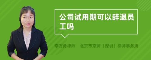 公司试用期可以辞退员工吗