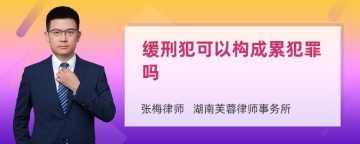 缓刑犯可以构成累犯罪吗