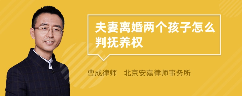 夫妻离婚两个孩子怎么判抚养权