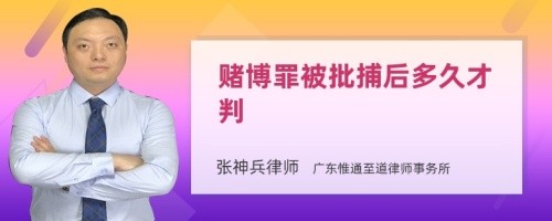 赌博罪被批捕后多久才判