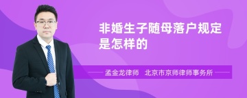 非婚生子随母落户规定是怎样的