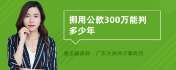 挪用公款300万能判多少年