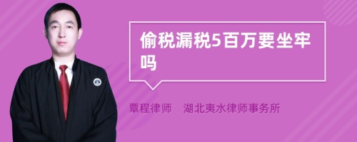 偷税漏税5百万要坐牢吗