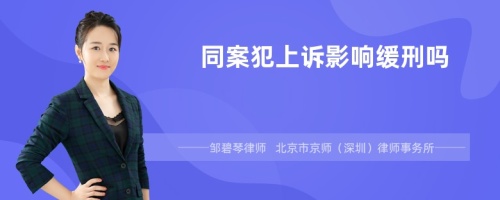 同案犯上诉影响缓刑吗