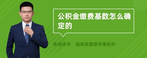 公积金缴费基数怎么确定的