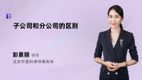 子公司和分公司的区别