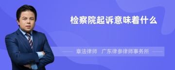 检察院起诉意味着什么