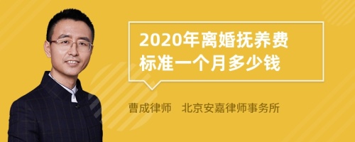 2020年离婚抚养费标准一个月多少钱