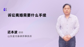 诉讼离婚需要什么手续