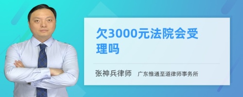 欠3000元法院会受理吗