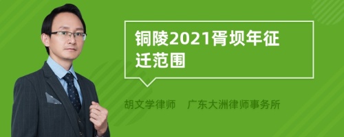 铜陵2021胥坝年征迁范围