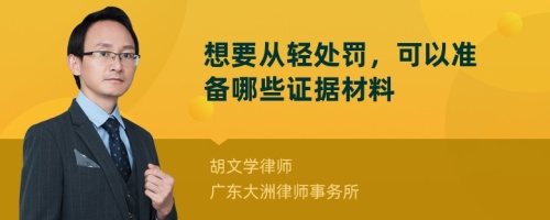 想要从轻处罚，可以准备哪些证据材料