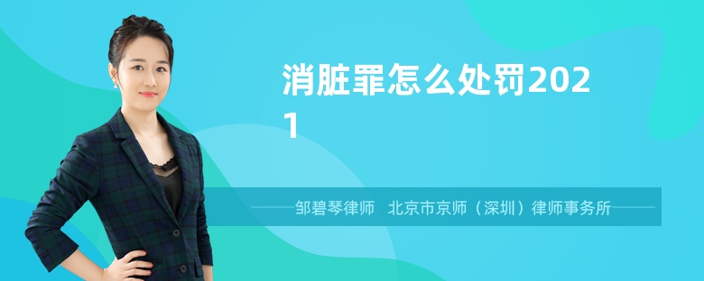 消脏罪怎么处罚2021