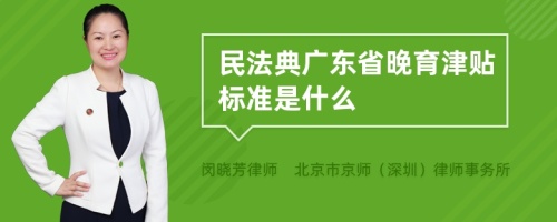 民法典广东省晚育津贴标准是什么