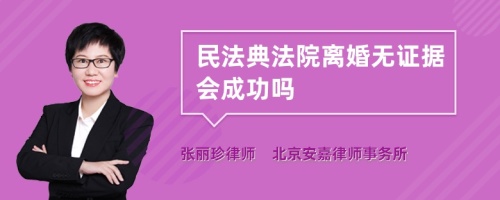 民法典法院离婚无证据会成功吗