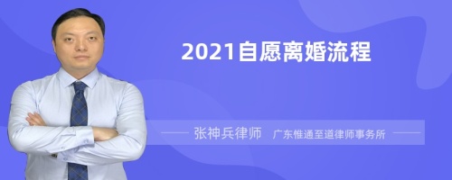 2021自愿离婚流程