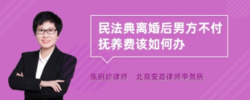 民法典离婚后男方不付抚养费该如何办