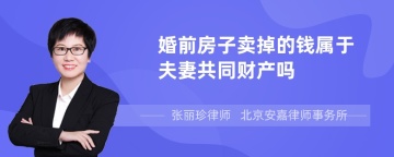 婚前房子卖掉的钱属于夫妻共同财产吗