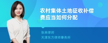 农村集体土地征收补偿费应当如何分配