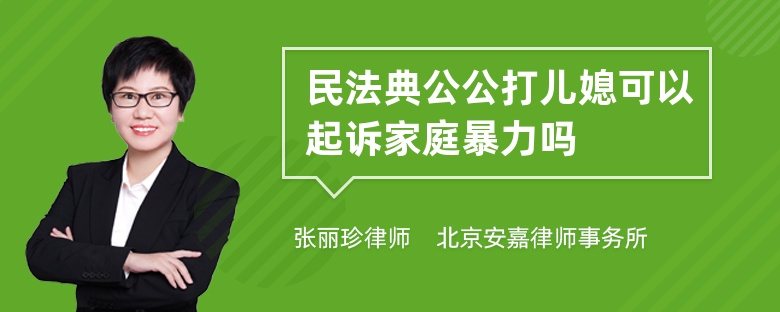 民法典公公打儿媳可以起诉家庭暴力吗