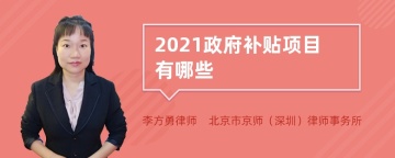 2021政府补贴项目有哪些