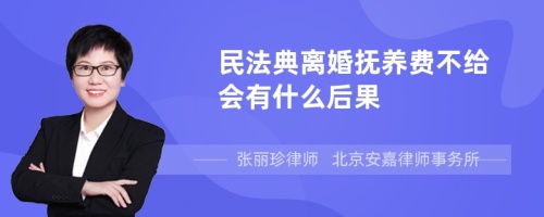 民法典离婚抚养费不给会有什么后果