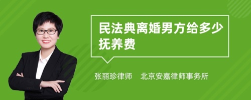 民法典离婚男方给多少抚养费