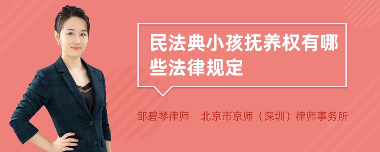 民法典小孩抚养权有哪些法律规定