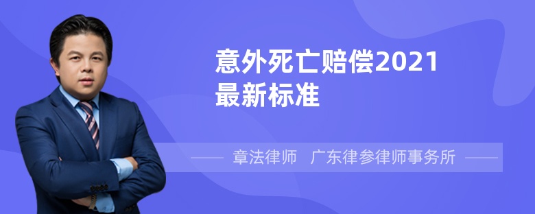 意外死亡赔偿2021最新标准