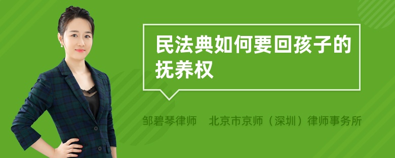 民法典如何要回孩子的抚养权