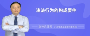 违法行为的构成要件